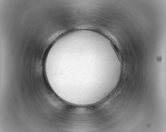 X0000090470298200708102139