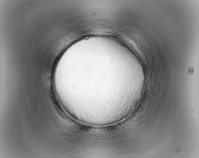 X0000090470299200708102139