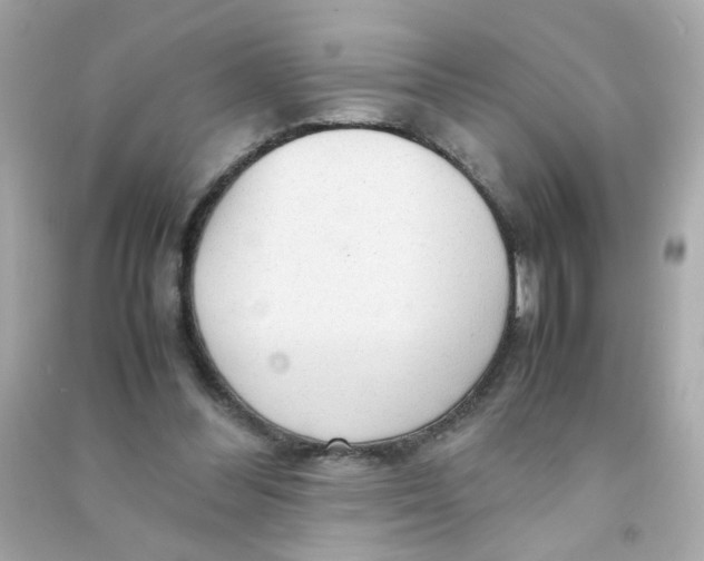 X0000090470300200708102139