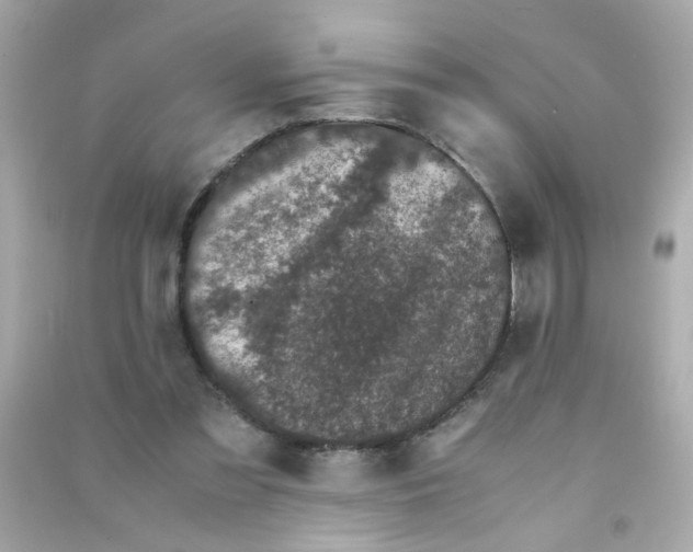 X0000090470301200708102139