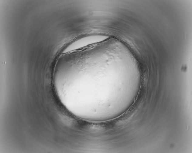 X0000090470303200708102139