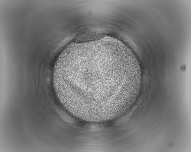 X0000090470305200708102139