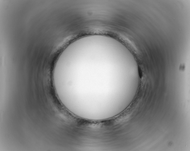 X0000090470306200708102139