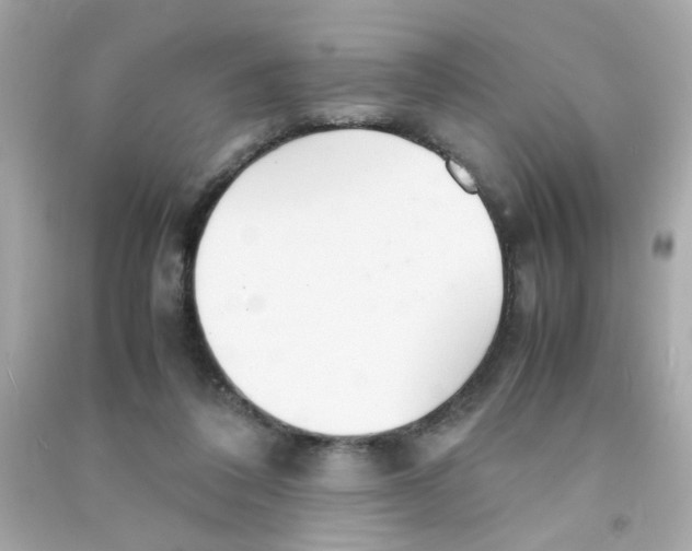 X0000090470308200708102139