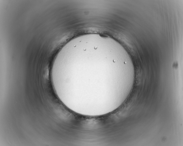 X0000090470310200708102139