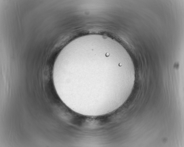 X0000090470311200708102139