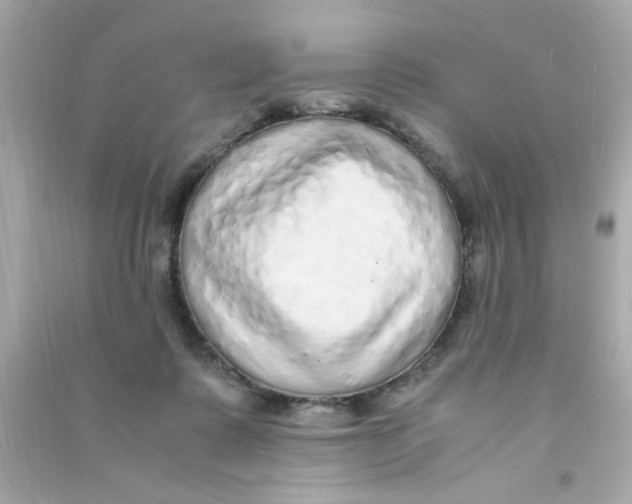 X0000090470315200708102139