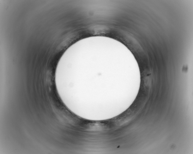 X0000090470316200708102139