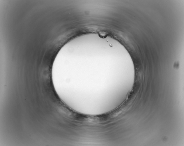 X0000090470317200708102139