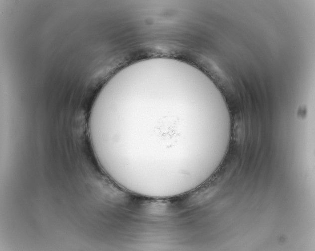 X0000090470318200708102139