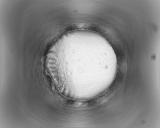 X0000090470319200708102139