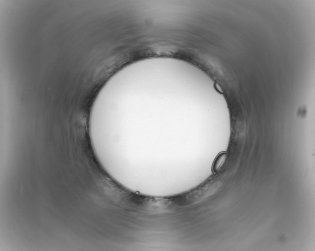 X0000090470321200708102139