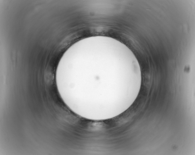 X0000090470324200708102139