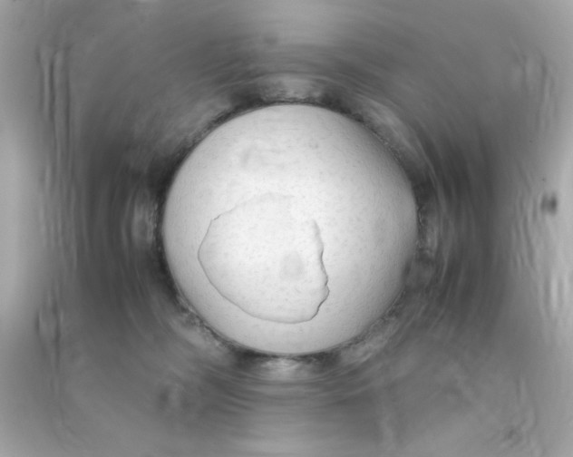 X0000090470326200708102139