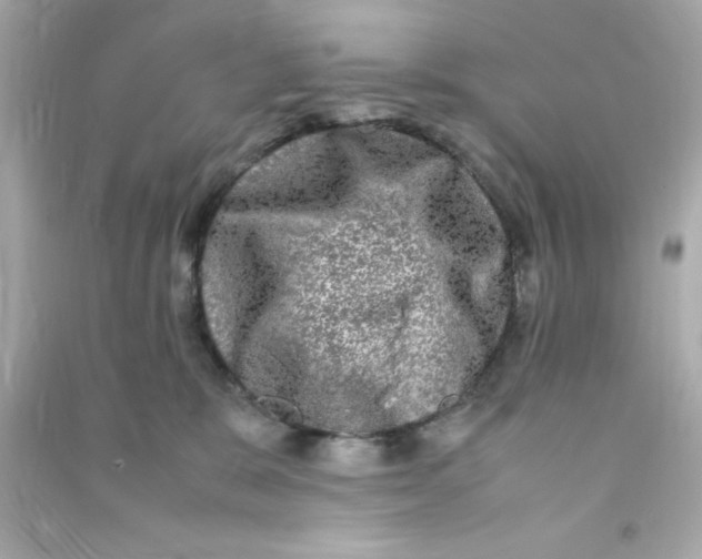 X0000090470327200708102139