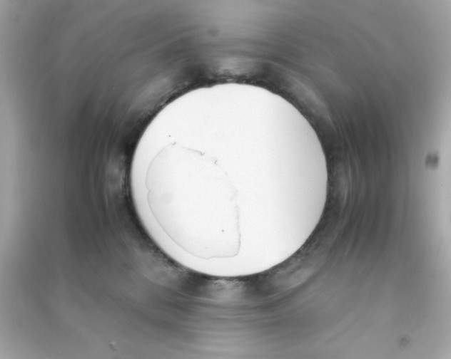 X0000090470328200708102139