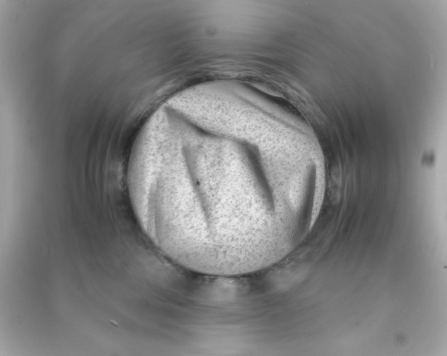 X0000090470330200708102139