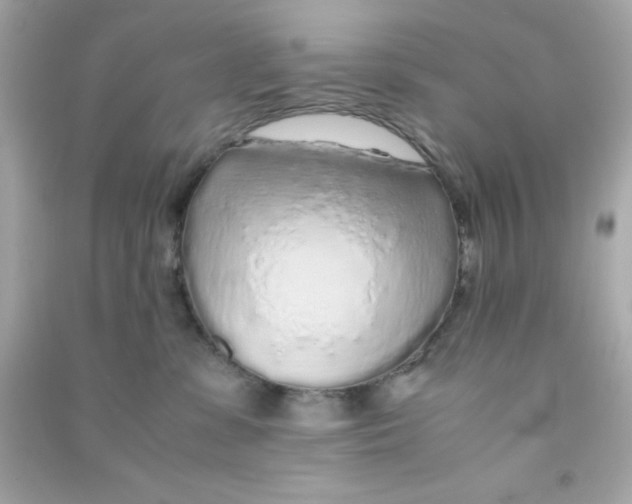 X0000090470331200708102139