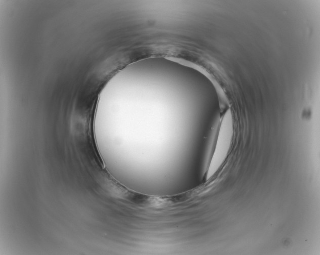 X0000090470333200708102139