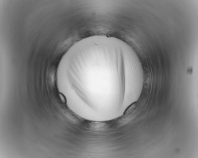 X0000090470334200708102139