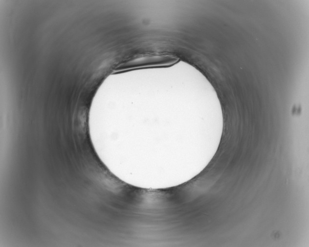 X0000090470336200708102139