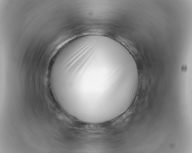 X0000090470338200708102138