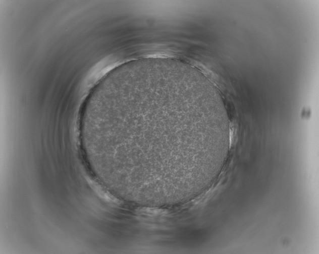 X0000090470339200708102138