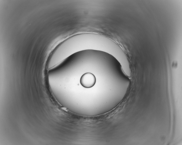 X0000090470340200708102138