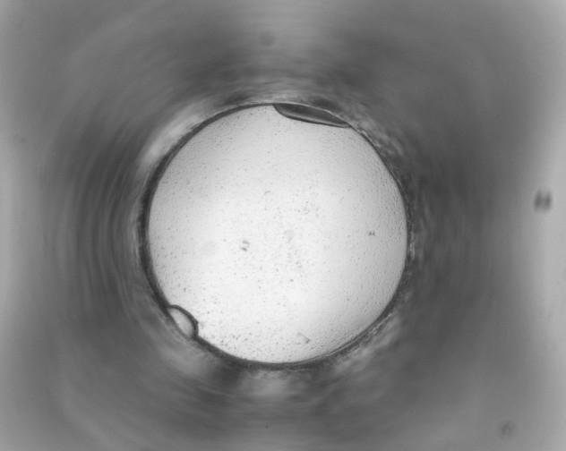 X0000090470341200708102138