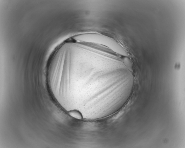 X0000090470342200708102138