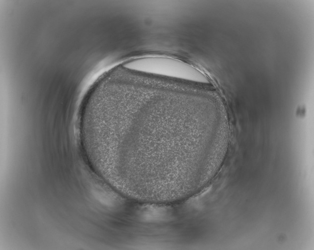 X0000090470343200708102138