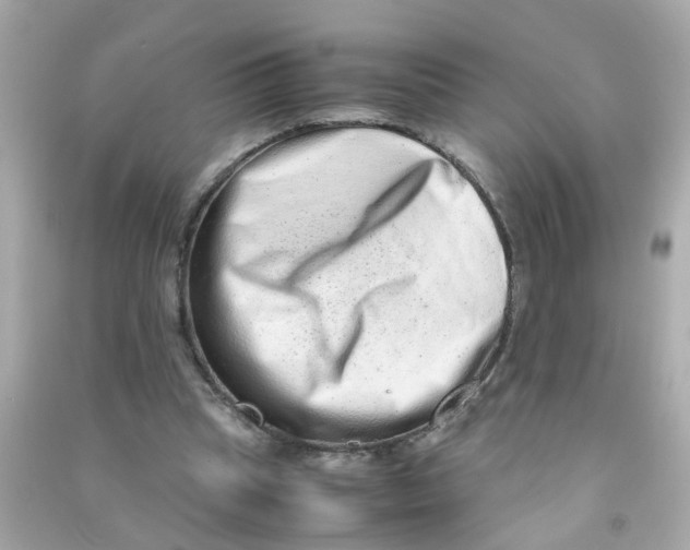 X0000090470345200708102138