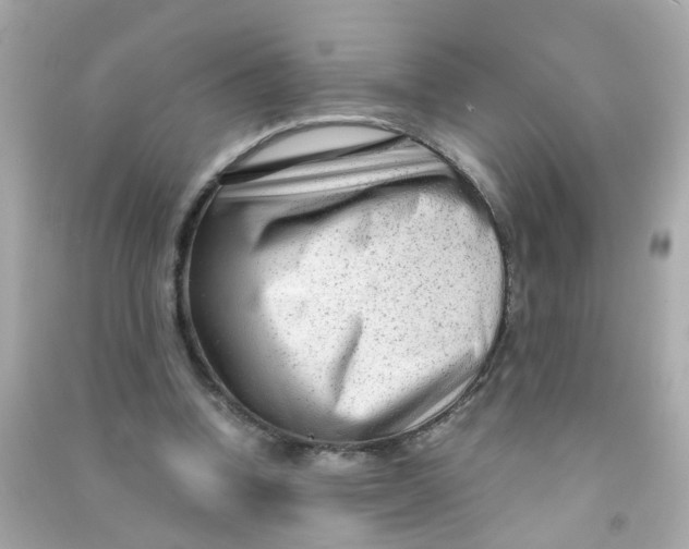 X0000090470346200708102138