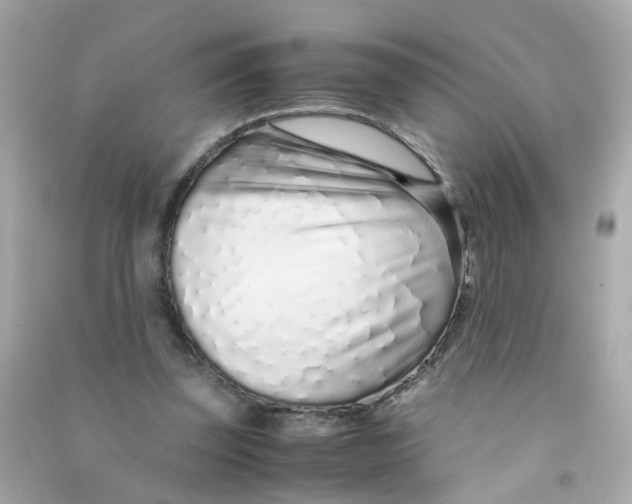 X0000090470347200708102138