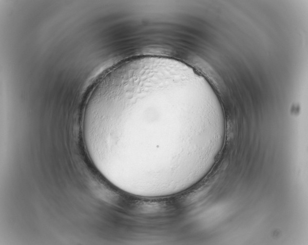 X0000090470349200708102138