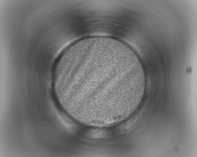 X0000090470351200708102138