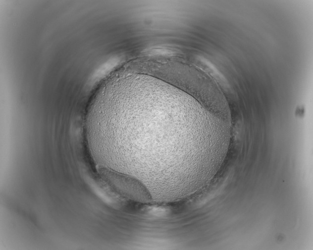 X0000090470352200708102138