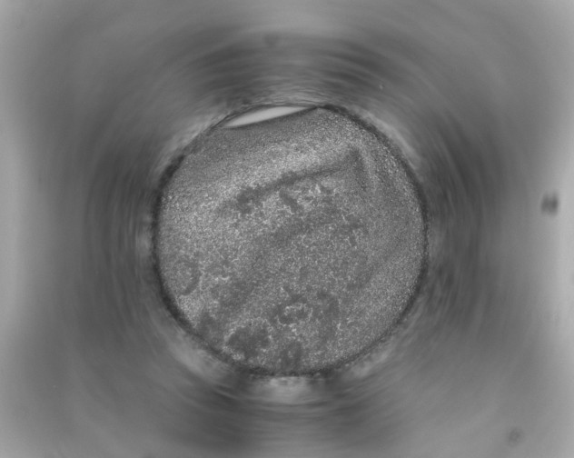 X0000090470353200708102138