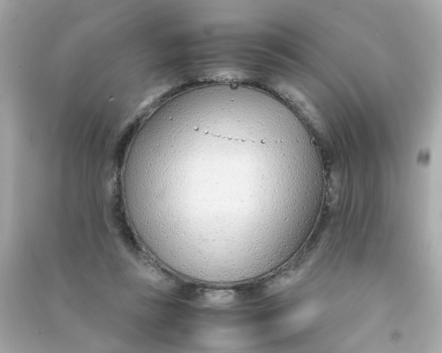 X0000090470355200708102138