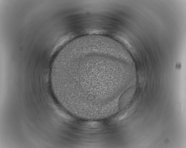 X0000090470357200708102138