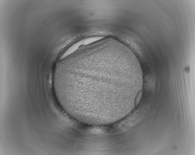 X0000090470358200708102138