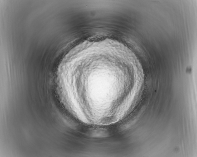 X0000090470359200708102138