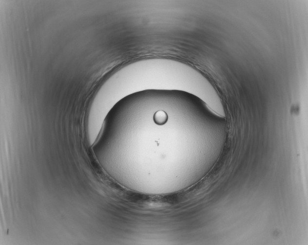 X0000090470360200708102139