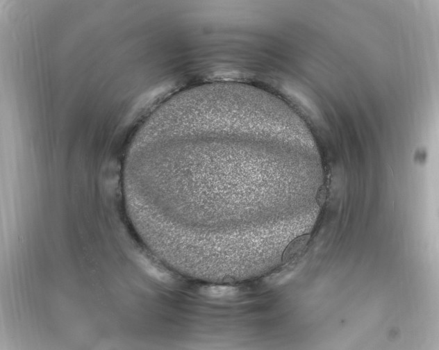 X0000090470361200708102139