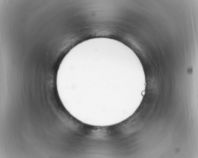 X0000090470362200708102139