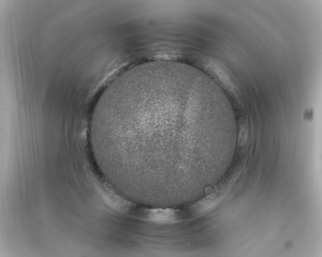 X0000090470363200708102139