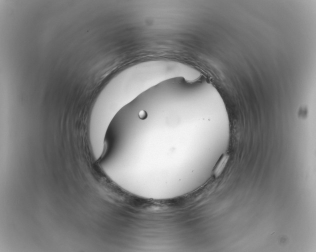 X0000090470364200708102139