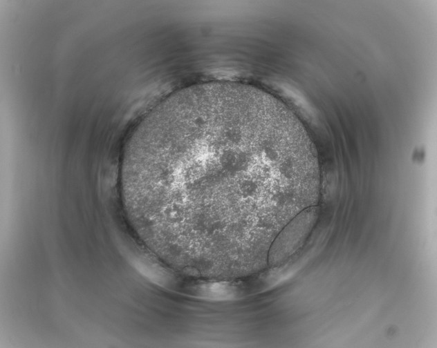 X0000090470365200708102139