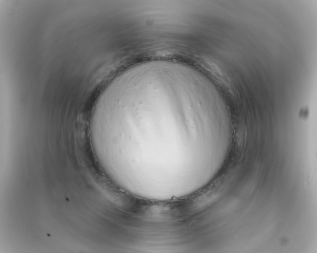 X0000090470366200708102139