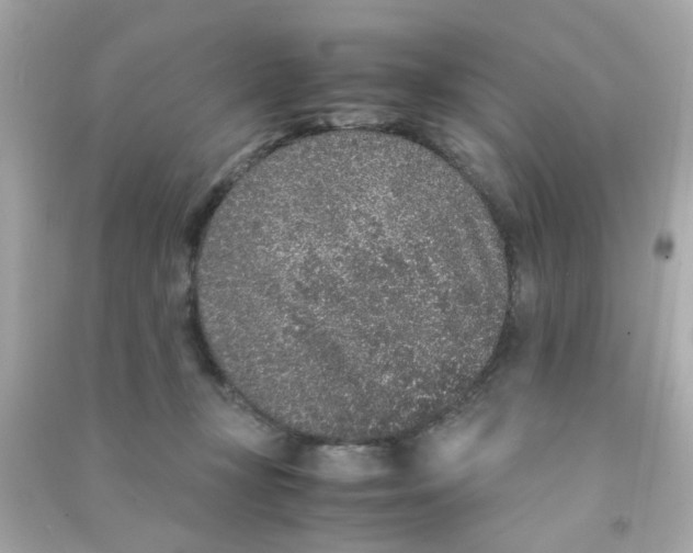 X0000090470367200708102139